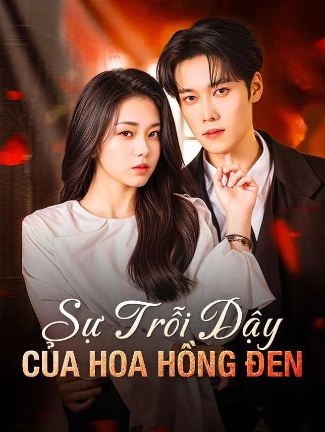 Sự Trỗi Dậy Của Hoa Hồng Đen