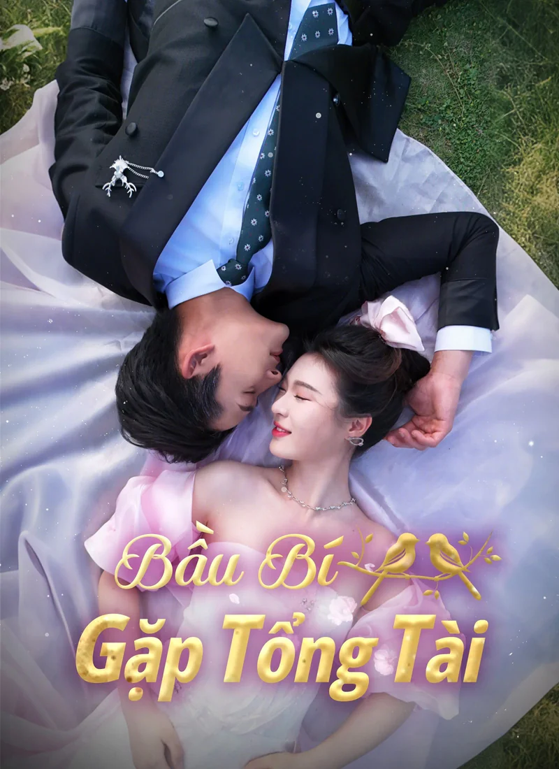 Bầu Bí Gặp Tổng Tài